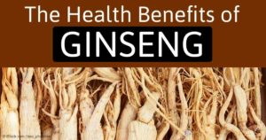 2016 Health And Fitness Trends - Ginseng
